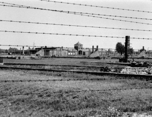 Auschwitz Barbed Wire
