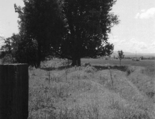 Little Bighorn Company M, 7th Cavalry Timberline Position