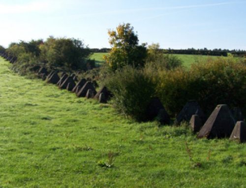 Dragon’s Teeth