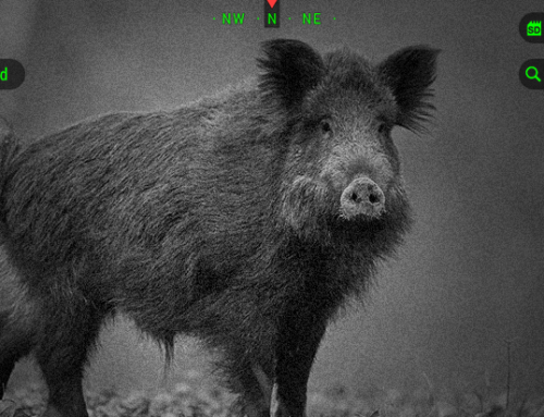 Night Vision (1)