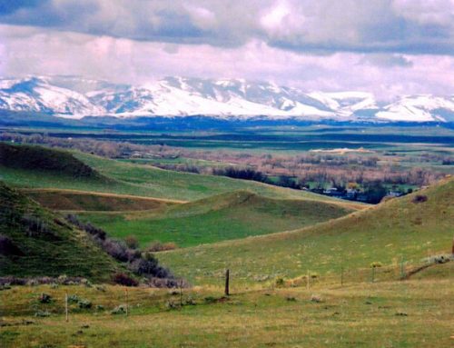 Montana Paradise