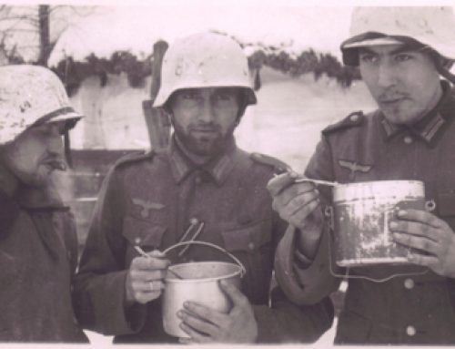 German 6th Army, 94th Infantry Division Veterans at Stalingrad
