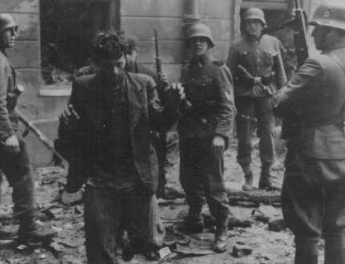 Captured Resistance Fighters by the Waffen-SS